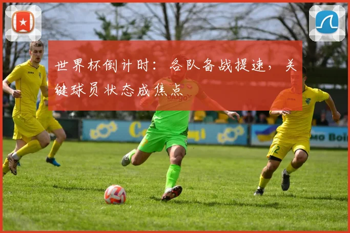 世界杯倒计时：各队备战提速，关键球员状态成焦点